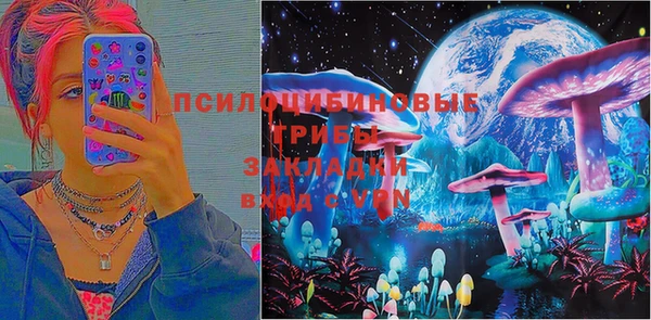 прущая мука Кинешма